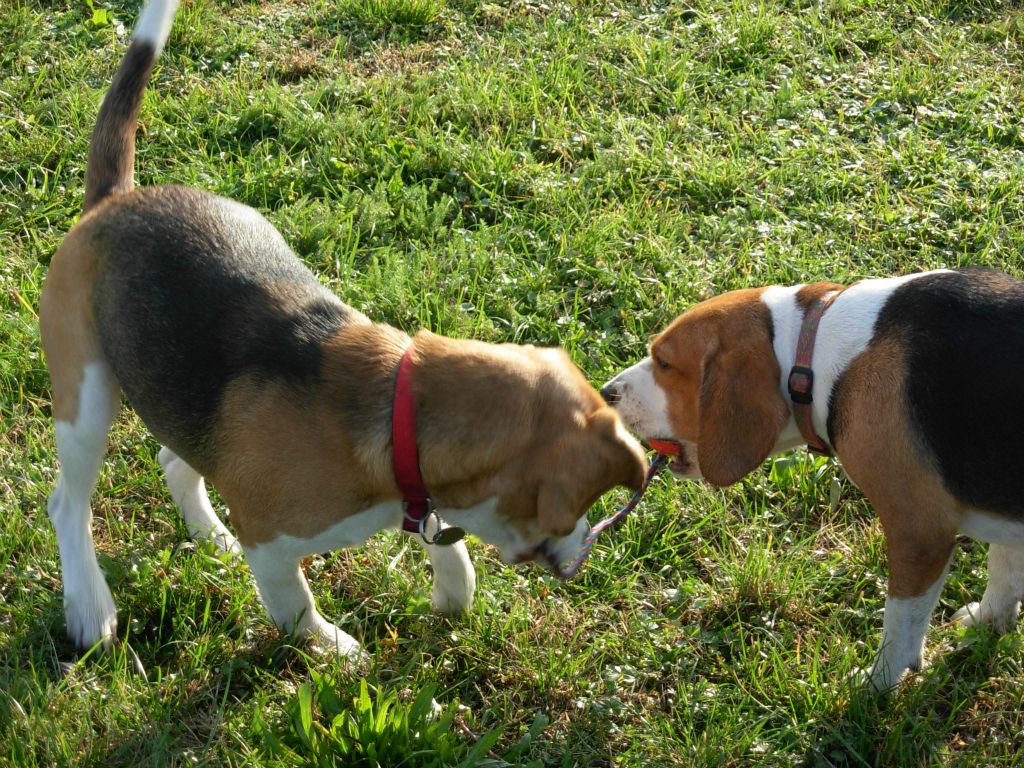 Teo e Nike